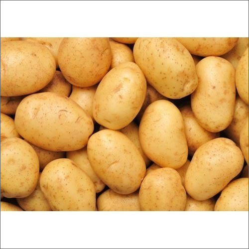 Natural Fresh Potato