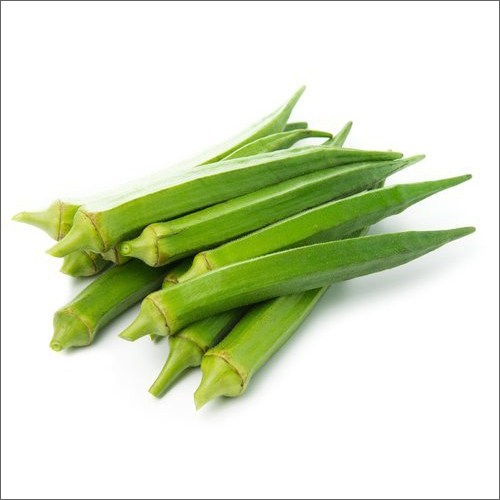 Fresh Okra Vegetable By DHYANA EXPORTS