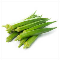 Fresh Okra Vegetable