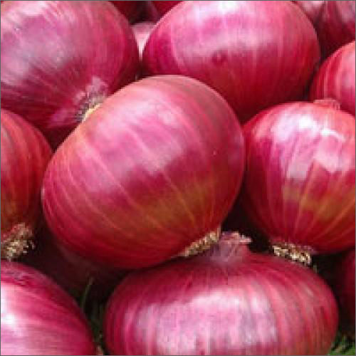 Red Onion