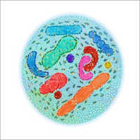 Mannan Oligosaccharides Feed Additives