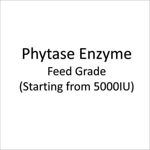 Phytase Enzyme Powder for Poultry