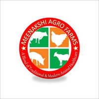 Poultry Consultancy Feed Formulation Service