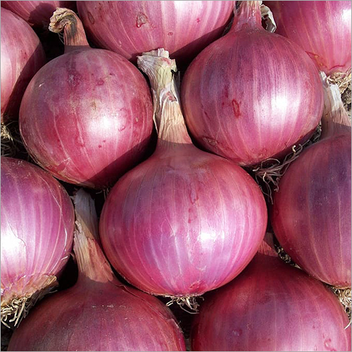 Fresh Onion