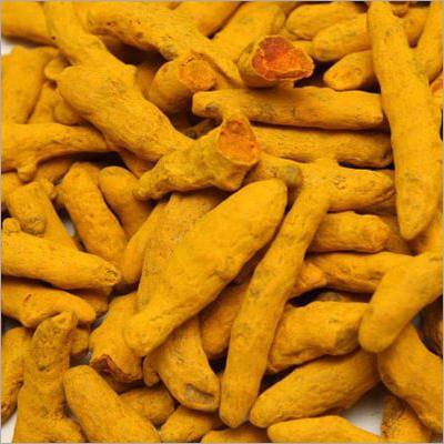 Dried Turmeric Finger