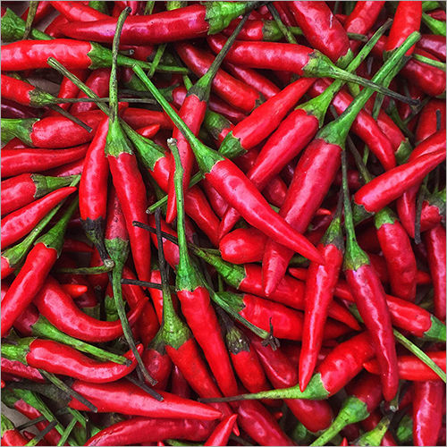 Red Chilli In Visakhapatnam, Andhra Pradesh At Best Price