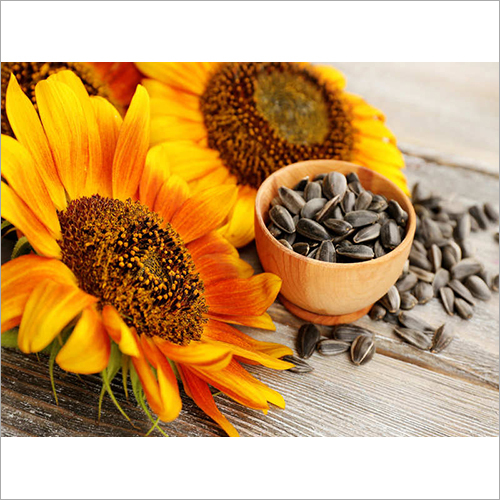 Natural Sunflower Seeds