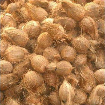 Husked Coconut