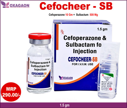 Cefocheer Sb 1.5 Injection