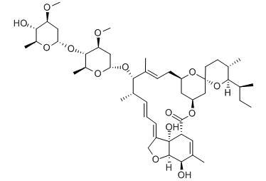 Ivermectin Medicine