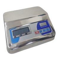 Table Top Stainless Steel Indicator - Accuracy: 0.5/1/2/5 G Gm