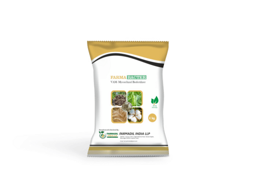 Mycorrhiza Biofertilizer