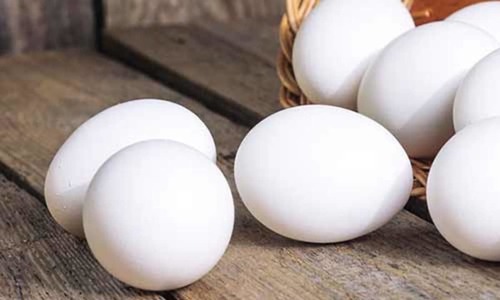 Poultry Eggs By RADHA TRADING COMPANY