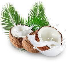 Coconut