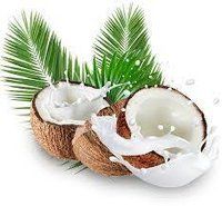 Fresh Coconut