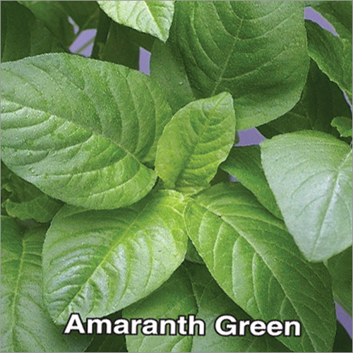 Khosla Green Amaranth Seeds