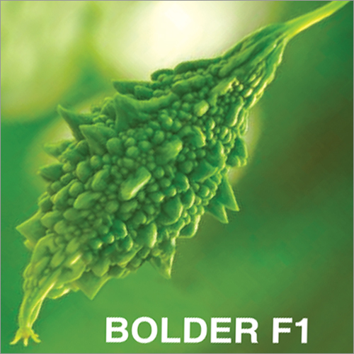 Bolder F1 Bitter Gourd Seeds Grade: A