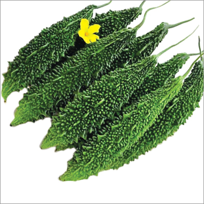 Bolder ML F1 Bitter Gourd Seeds