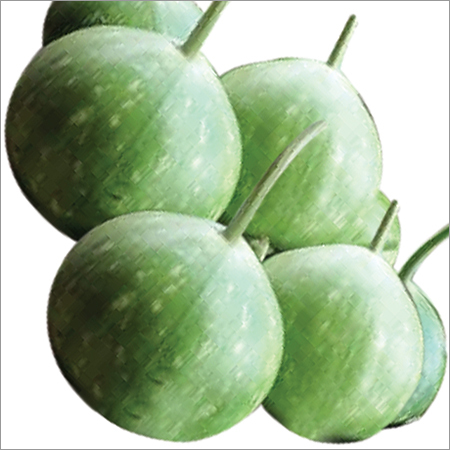 Golu F1 Bottle Gourd Seeds