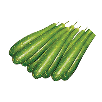 Gada F1 Bottle Gourd Seeds