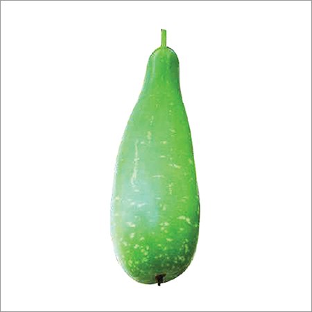 SV Nama F1 Bottle Gourd Seeds
