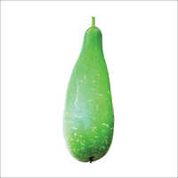 SV Nama F1 Bottle Gourd Seeds