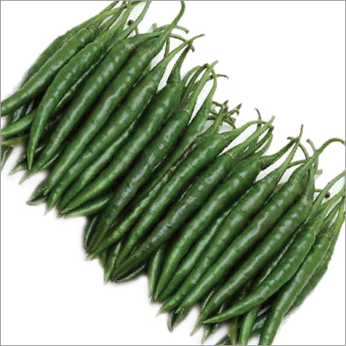 Jhaloka F1 Chilli Seeds