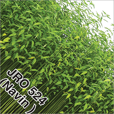 Navin Jro 524 Fibre Crops Seeds