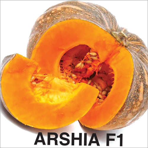 Arshia F1 Pumpkin Seeds Grade: A