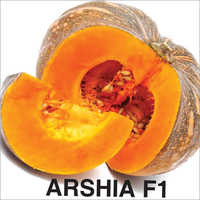 Arshia F1 Pumpkin Seeds