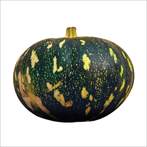 Arshia-3 F1 Pumpkin Seeds