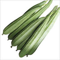 Neela F1 Ridge Gourd Seeds