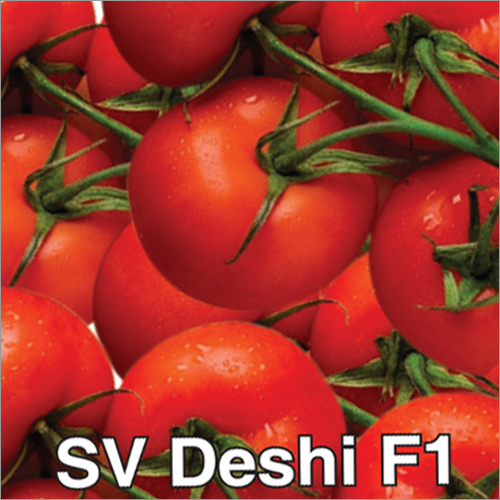 Sv Deshi F1 Tomato Seeds Grade: A