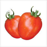Tomato Seeds