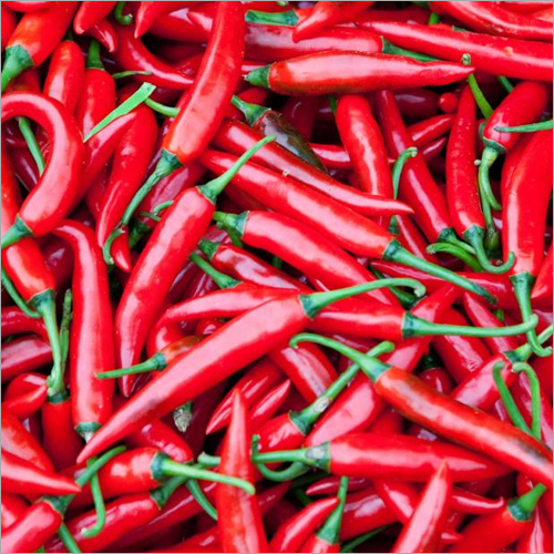 Red Chilli