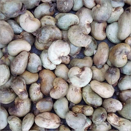 Raw Cashew Nuts