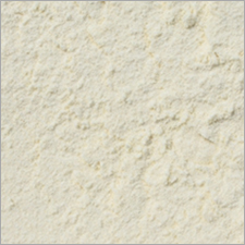 Dehydrated White Onion Powder