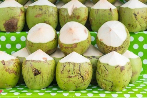 CEC Tender coconut Flavour 2050-01