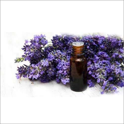 Spike Lavender Essential Oil