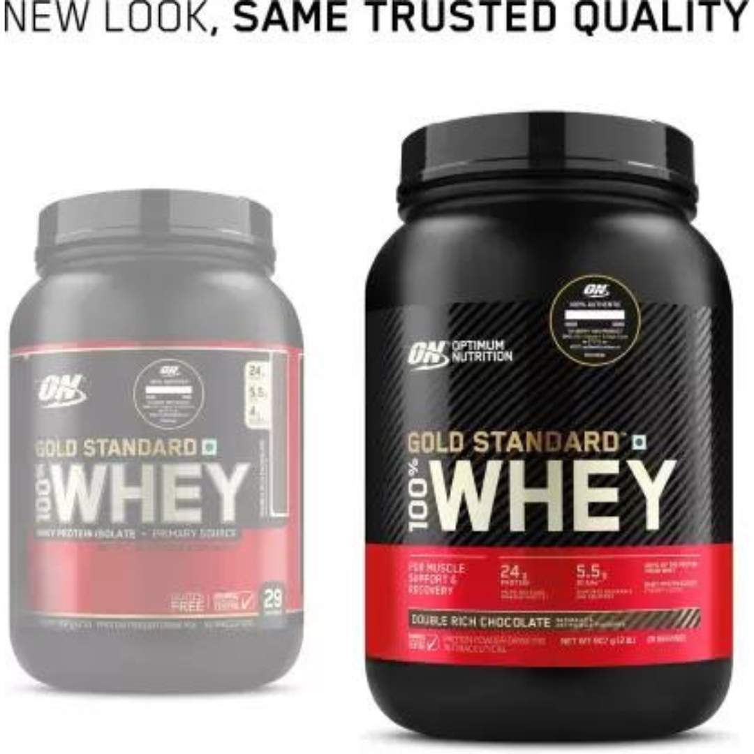 Whey Protein Body Muscle Growth