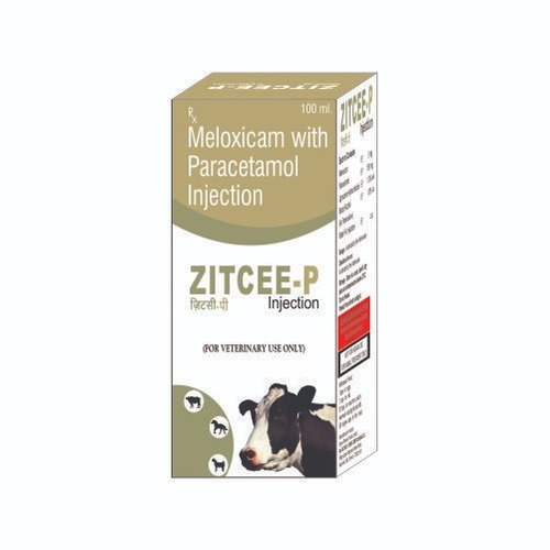 Meloxicam With Paracetamol Injection By ZYLIG LIFESCIENCES