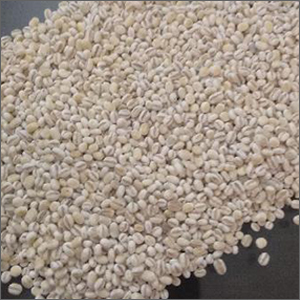 Pearl Barley