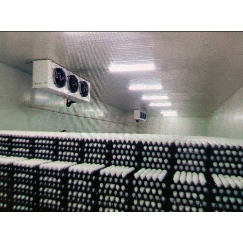 Cold Storage Warehouse Space for Eggs Storage