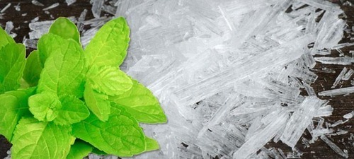 Industrial Menthol Crystal Application: Pharmaceutical