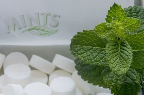 CEC Peppermint Flavour No.1
