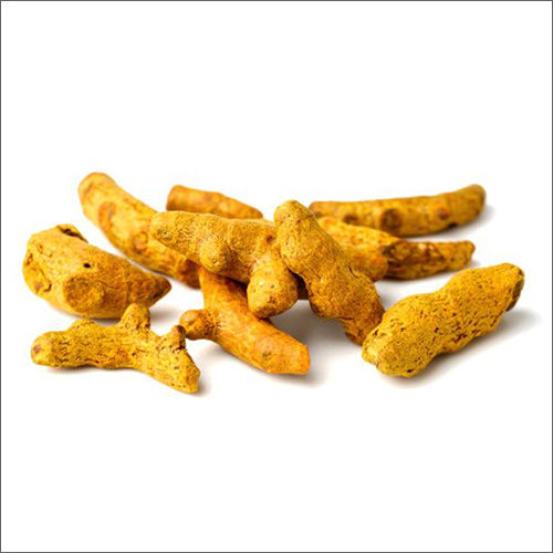 Yellow Turmeric Finger At Best Price In Ahmedabad Gujarat