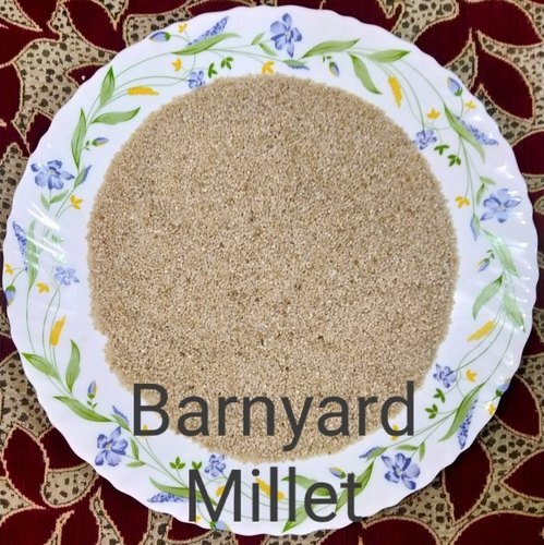 3. BARNYARD MILLET (SANVA)