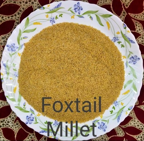 4. FOXTAIL MILLET (KANGANI