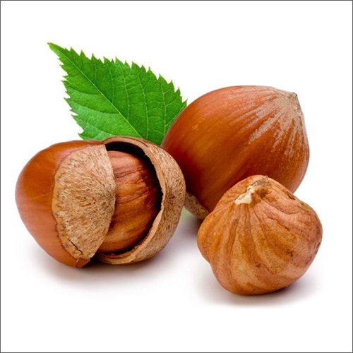 Brown Natural Hazelnuts