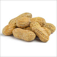 Ground Nut Shell